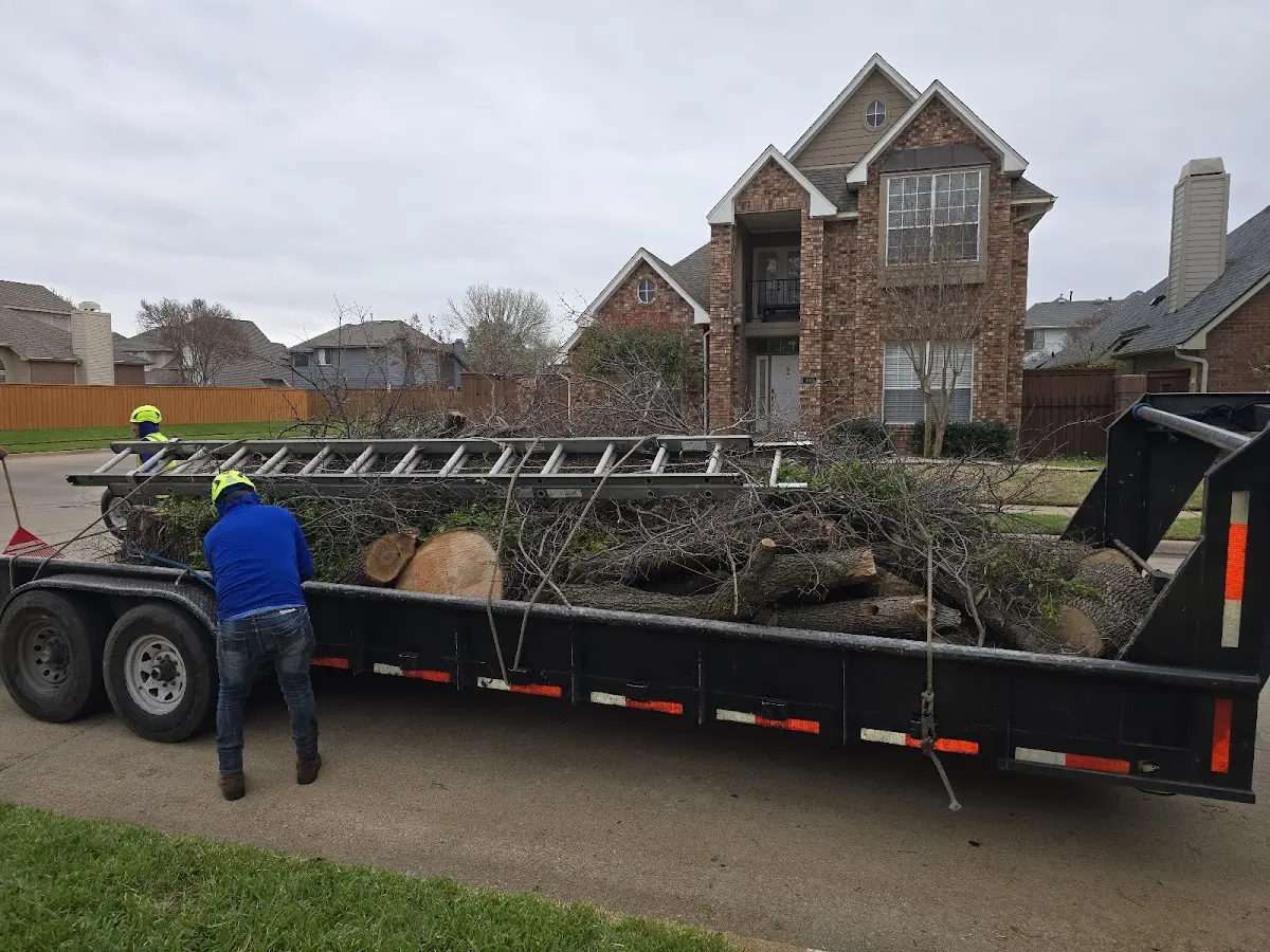 Expert Lot Clearing with proper safety equipment in Cross Anchor